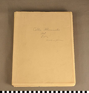 Thumbnail of Folio: Celtic Illuminated Art (1916.15.0001D)