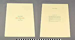 Thumbnail of Folio: Celtic Illuminated Art, Plate Cover XLIV (1916.15.0001DB)