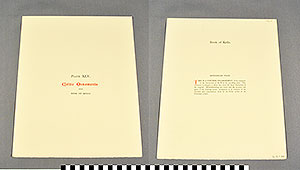 Thumbnail of Folio: Celtic Illuminated Art, Plate Cover XLV (1916.15.0001DD)