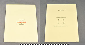 Thumbnail of Folio: Celtic Illuminated Art, Plate Cover XLIX  (1916.15.0001DL)