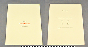 Thumbnail of Folio: Celtic Illuminated Art, Plate L Cover (1916.15.0001DN)