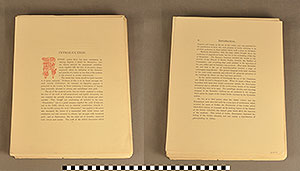 Thumbnail of Folio: Celtic Illuminated Art (1916.15.0001H)