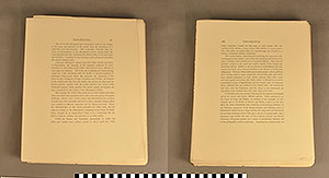 Thumbnail of Folio: Celtic Illuminated Art (1916.15.0001I)