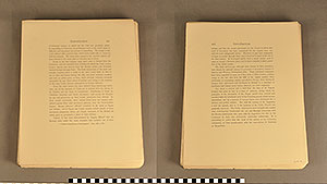 Thumbnail of Folio: Celtic Illuminated Art (1916.15.0001K)