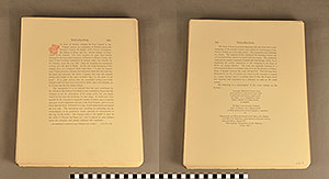 Thumbnail of Folio: Celtic Illuminated Art (1916.15.0001M)