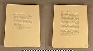 Thumbnail of Folio: Celtic Illuminated Art (1916.15.0001N)