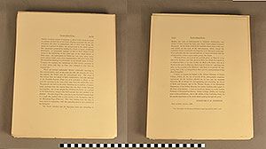 Thumbnail of Folio: Celtic Illuminated Art (1916.15.0001R)