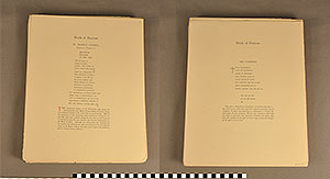 Thumbnail of Folio: Celtic Illuminated Art,  Plate Cover I  (1916.15.0001T)