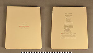 Thumbnail of Folio: Celtic Illuminated Art, Plate Cover II (1916.15.0001V)