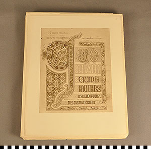 Thumbnail of Folio: Celtic Illuminated Art, Plate II (1916.15.0001W)