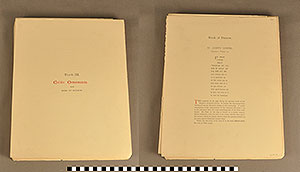 Thumbnail of Folio: Celtic Illuminated Art, Plate Cover III (1916.15.0001X)