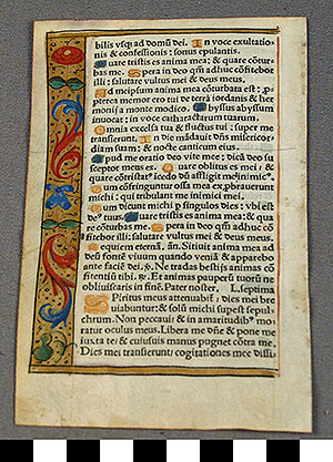 Thumbnail of Illuminated Manuscript Page: Hardouyn Books of Hours (1928.10.0002)