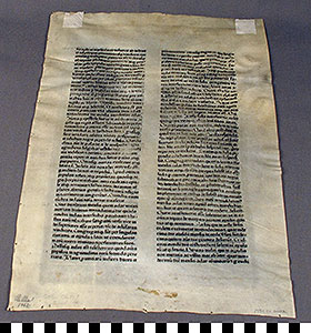 Thumbnail of Folio Page from Biblia Latina (1951.02.0002)