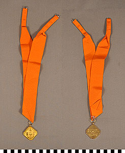 Thumbnail of Medal: Holland Society of New York (1977.01.0431)