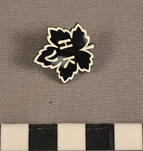 Thumbnail of Pin Fragment: "HKV" [Helsingin Kisa-Veikot] (1977.01.1785)