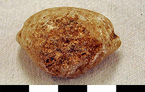 Thumbnail of Figurine Fragment, Head, "Stargazer"  (2000.17.0204)