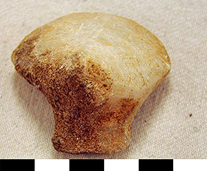 Thumbnail of Figurine Fragment, Head, "Stargazer"  (2000.17.0206)