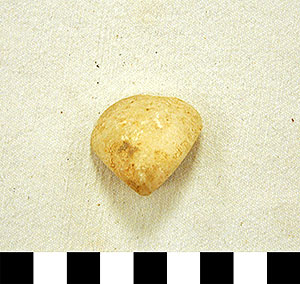 Thumbnail of Figurine Fragment, Head, "Stargazer"  (2000.17.0212)