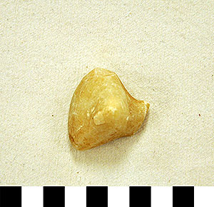 Thumbnail of Figurine Fragment, Head, "Stargazer"  (2000.17.0214)