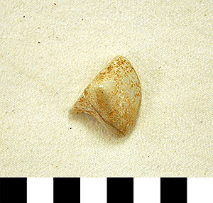 Thumbnail of Figurine Fragment, Head, "Stargazer"  (2000.17.0218)