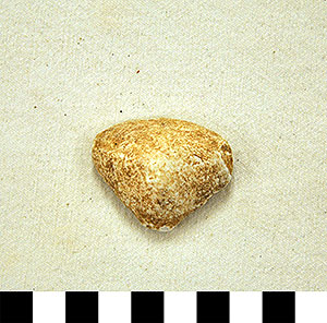 Thumbnail of Figurine Fragment, Head, "Stargazer"  (2000.17.0219)
