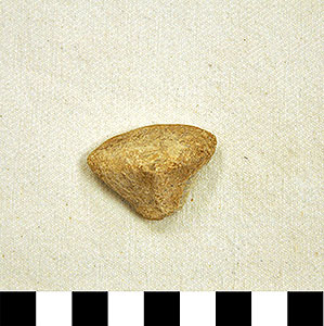 Thumbnail of Figurine Fragment, Head, "Stargazer"  (2000.17.0220)