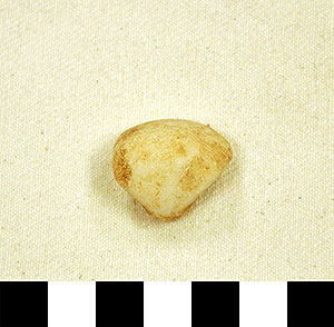 Thumbnail of Figurine Fragment, Head, "Stargazer"  (2000.17.0222)