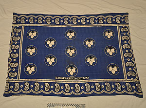 Thumbnail of Kanga Market Cloth (2013.05.0393)