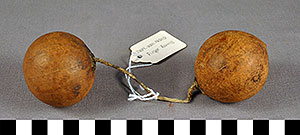 Thumbnail of Finger Rattles (2013.05.0554)