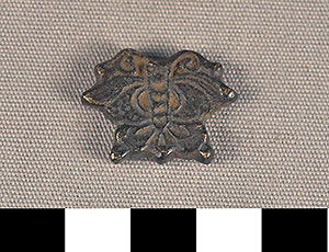 Thumbnail of Chinese Butterfly (2013.05.1051)