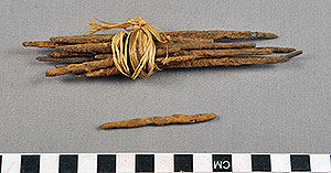 Thumbnail of 10 Money Spears (2013.05.1330)