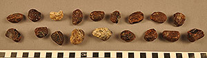 Thumbnail of 18 Kola Nut Money (2013.05.1433)