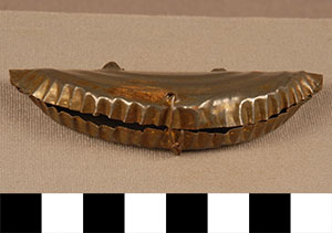 Thumbnail of Dance Ankle Rattle (2013.05.1438A)