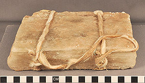 Thumbnail of Salt Block Money (2013.05.1557)