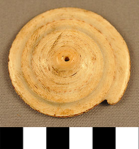 Thumbnail of Conus Shell Base (2013.05.1726)