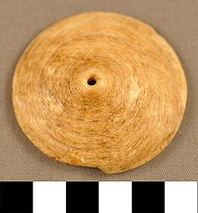 Thumbnail of Conus Shell Base (2013.05.1727)