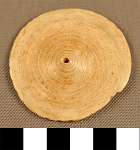 Thumbnail of Conus Shell Base (2013.05.1728)