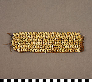Thumbnail of Cowry Textile Panel (2013.05.1734)