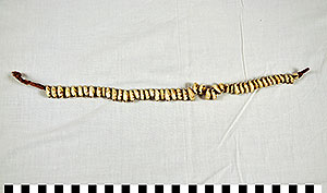 Thumbnail of Money: Cowry Shell String (2013.05.1737)