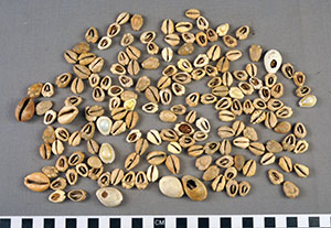 Thumbnail of 171 Cowrie Shell Money (2013.05.1743)