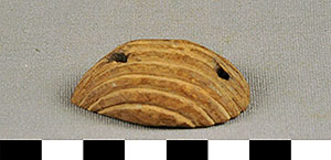 Thumbnail of Ceremonial Ornament: Shell (2013.05.1766)