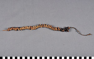 Thumbnail of Shell Money (2013.05.1767)