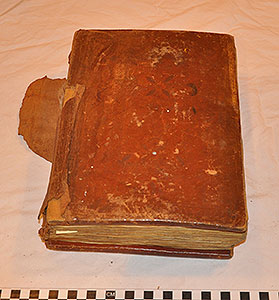 Thumbnail of Book: Bible? (2013.05.1984)