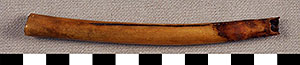 Thumbnail of Elder’s Pipe, Mouthpiece (2016.06.0001C)