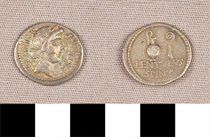 Thumbnail of Coin: Roman Republic, Denarius (1919.63.0082)