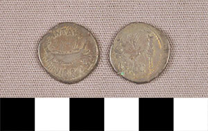 Thumbnail of Coin: Roman Republic, Denarius (1919.63.0088)