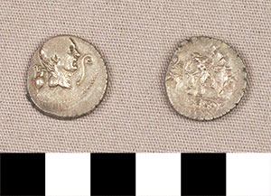 Thumbnail of Coin: Roman Republic, Denarius (1919.63.0106)