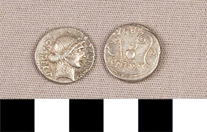 Thumbnail of Coin: Roman Republic, Denarius (1919.63.0138)