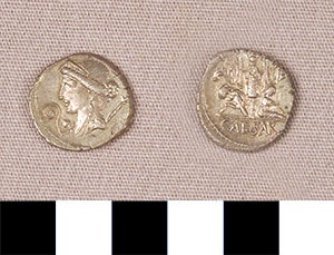 Thumbnail of Coin: Roman Republic, Denarius (1919.63.0303)