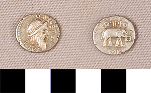 Thumbnail of Coin: Denarius  (1919.63.0309)